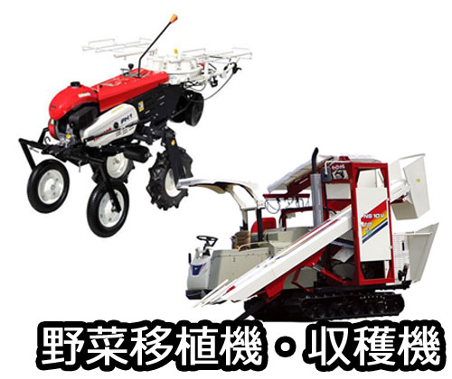 ��؈ڐA�@�E���n�@